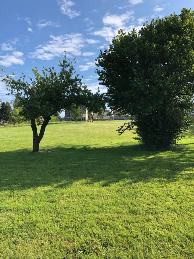 The Walnut Tree Gite Villa Le Dorat Exterior photo